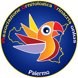 Associazione Ornitologica Trinacria Onlus